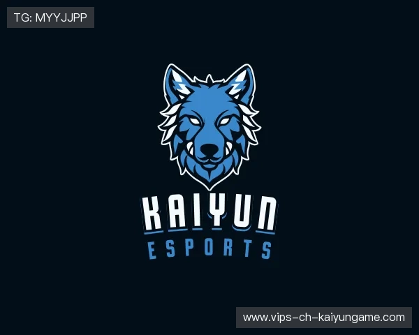 认识开云电竞入口